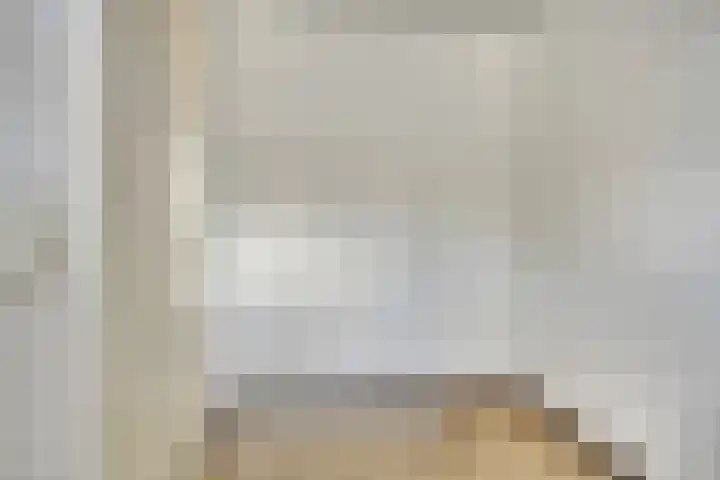 De Gouden Leeuw 45 Venray thumbnail 16