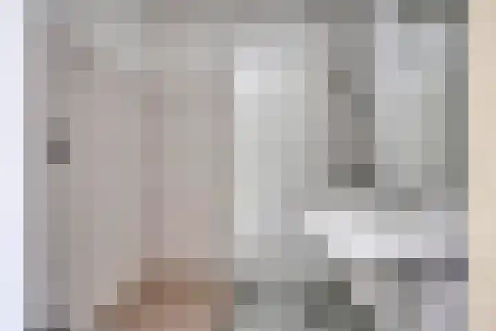 De Gouden Leeuw 45 Venray thumbnail 18