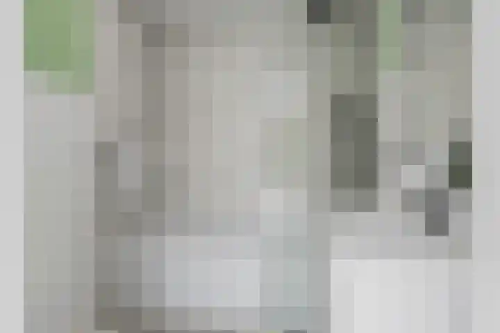 De Gouden Leeuw 45 Venray thumbnail 19