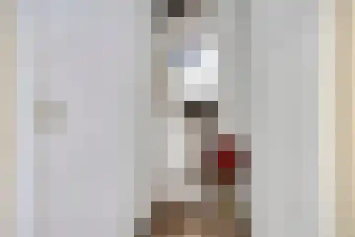 De Gouden Leeuw 45 Venray thumbnail 20