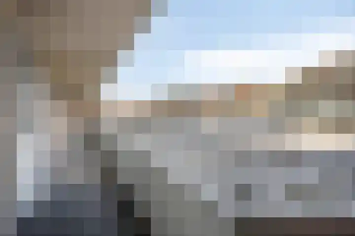 De Gouden Leeuw 45 Venray thumbnail 21