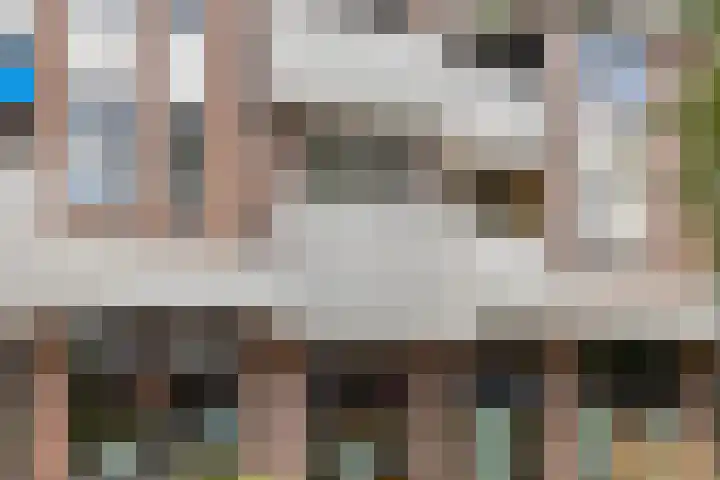De Gouden Leeuw 45 Venray thumbnail 22