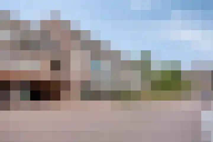 De Gouden Leeuw 45 Venray thumbnail 23