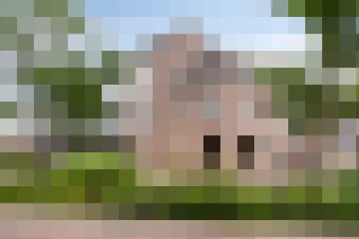 De Gouden Leeuw 45 Venray thumbnail 24
