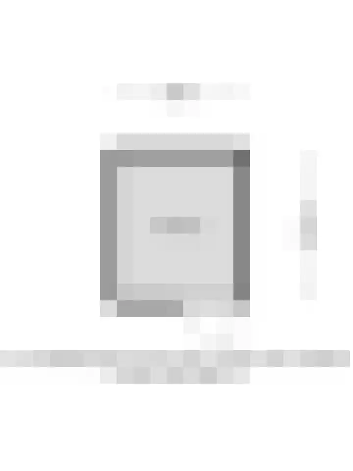 De Gouden Leeuw 45 Venray thumbnail 28