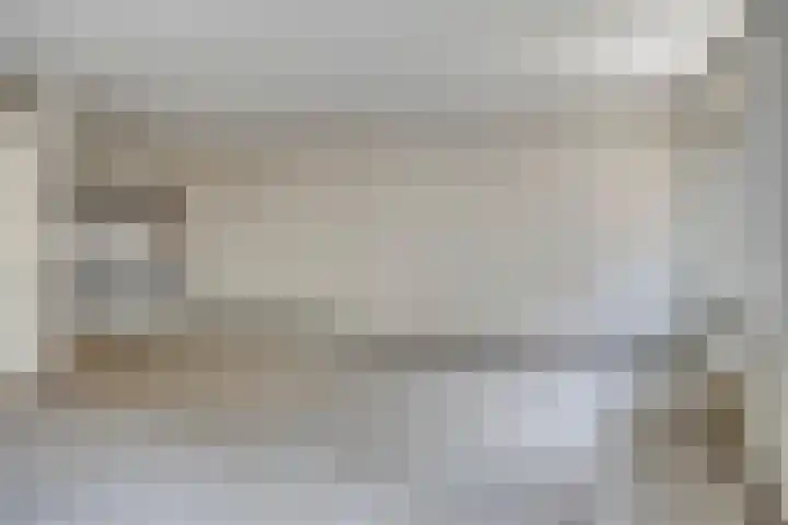De Gouden Leeuw 45 Venray thumbnail 6