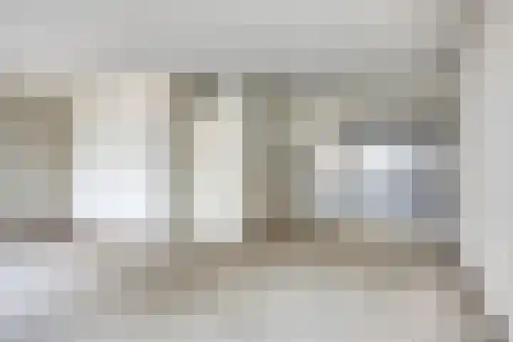 De Gouden Leeuw 45 Venray thumbnail 7