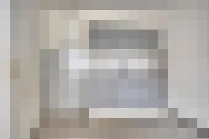 De Gouden Leeuw 45 Venray thumbnail 8