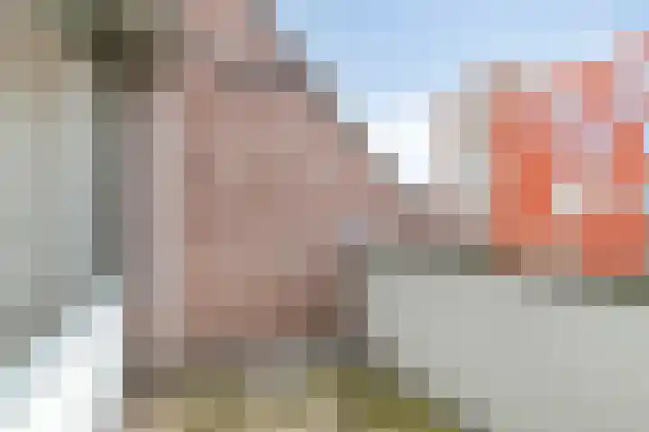 De Gouden Leeuw 63 Venray thumbnail 11