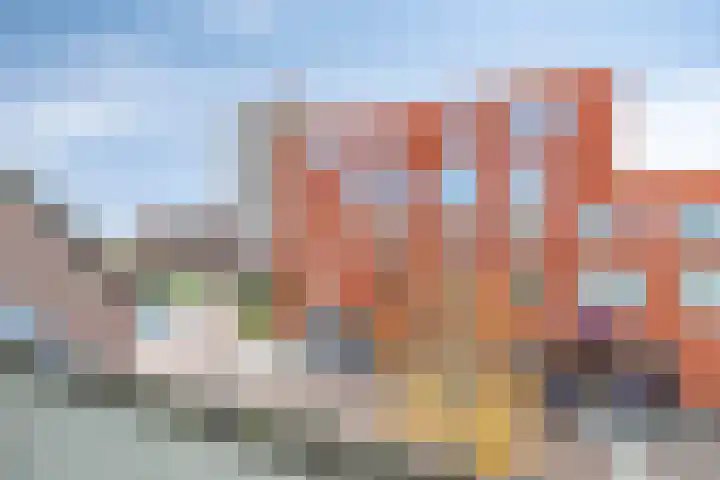De Gouden Leeuw 63 Venray thumbnail 12