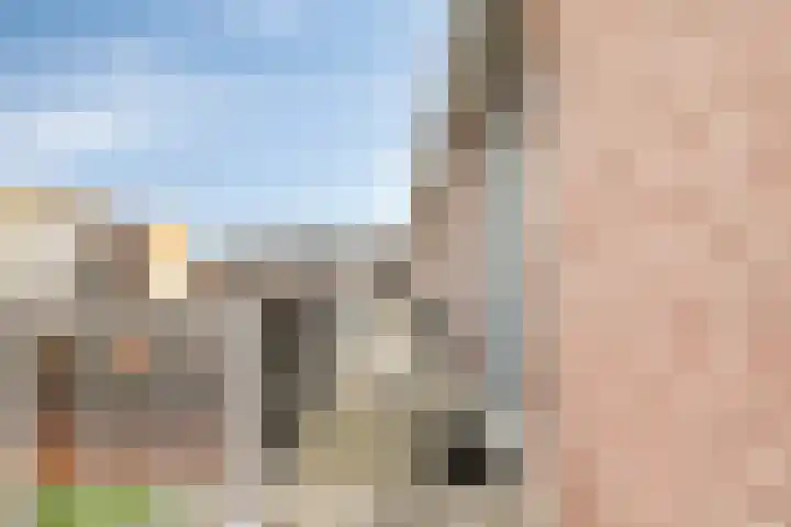 De Gouden Leeuw 63 Venray thumbnail 25