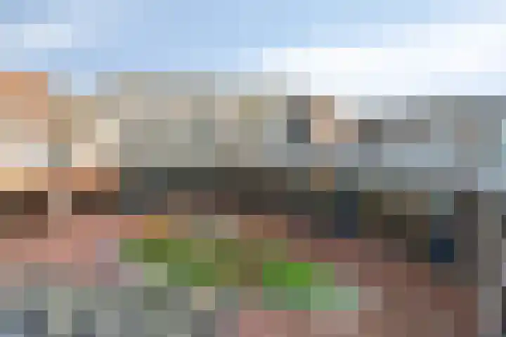 De Gouden Leeuw 63 Venray thumbnail 31