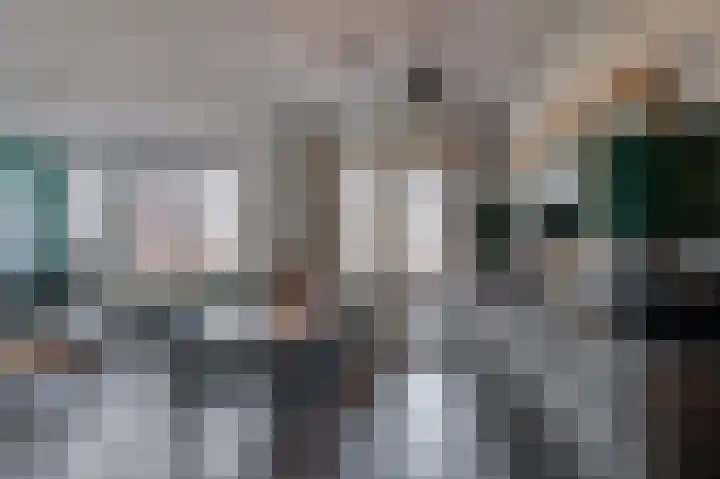 De Gouden Leeuw 64 Venray thumbnail 12