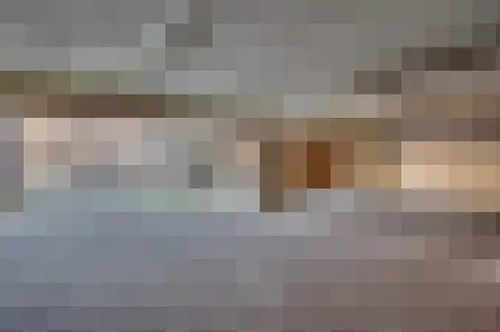 De Gouden Leeuw 64 Venray thumbnail 23