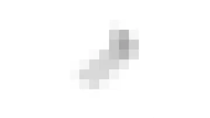 De Gouden Leeuw 64 Venray thumbnail 30