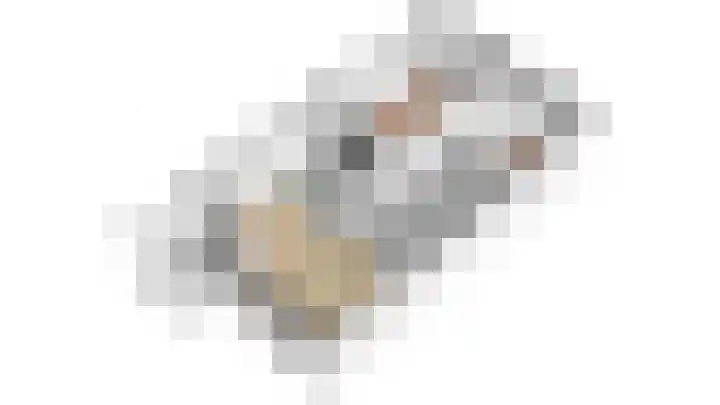De Gouden Leeuw 64 Venray thumbnail 32
