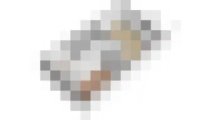 De Gouden Leeuw 64 Venray thumbnail 33