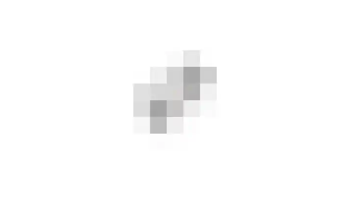 De Gouden Leeuw 64 Venray thumbnail 35