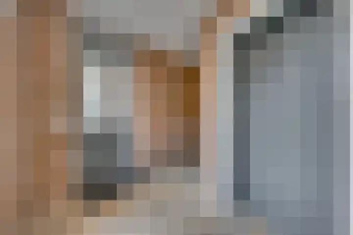 De Gouden Leeuw 64 Venray thumbnail 5