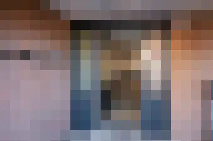 De Gouden Leeuw 64 Venray thumbnail 8