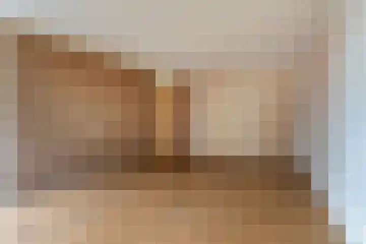 De Gouden Leeuw 67 Venray thumbnail 10