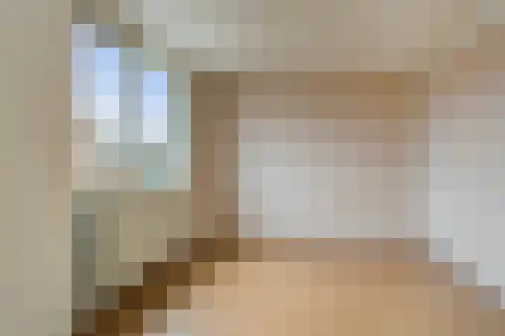 De Gouden Leeuw 67 Venray thumbnail 14