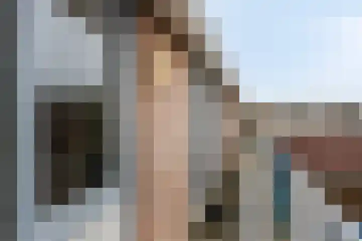 De Gouden Leeuw 67 Venray thumbnail 24