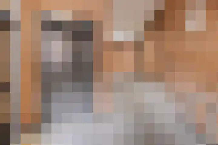 De Gouden Leeuw 67 Venray thumbnail 26