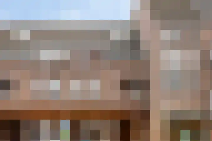 De Gouden Leeuw 67 Venray thumbnail 29