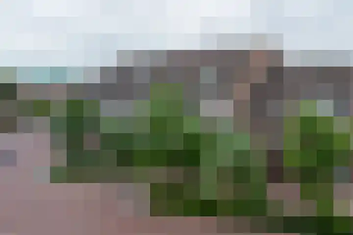 De Gouden Leeuw 67 Venray thumbnail 30