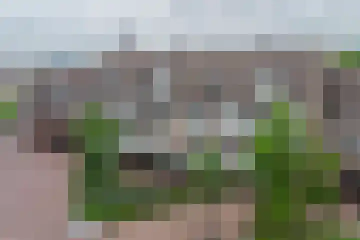 De Gouden Leeuw 67 Venray thumbnail 31