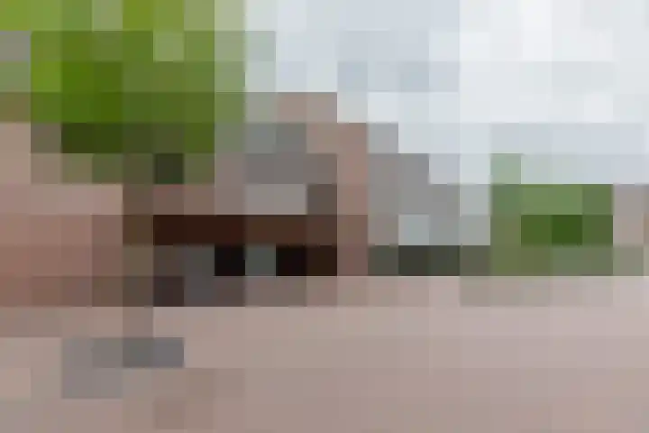 De Gouden Leeuw 67 Venray thumbnail 32