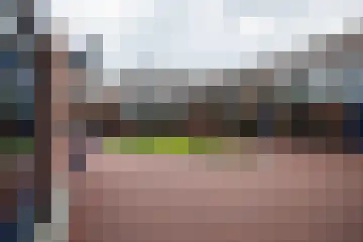 De Gouden Leeuw 67 Venray thumbnail 33