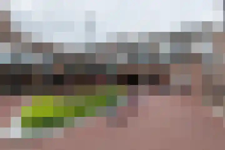 De Gouden Leeuw 67 Venray thumbnail 34