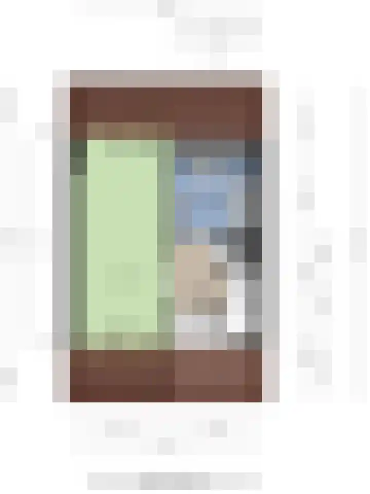 De Gouden Leeuw 67 Venray thumbnail 36