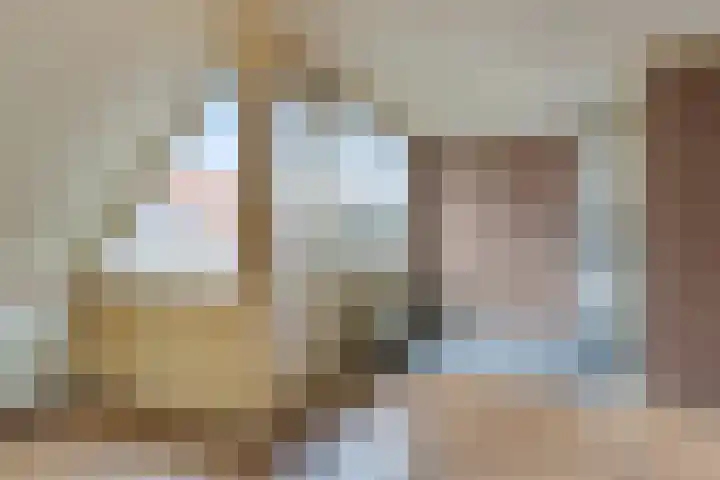 De Gouden Leeuw 67 Venray thumbnail 5