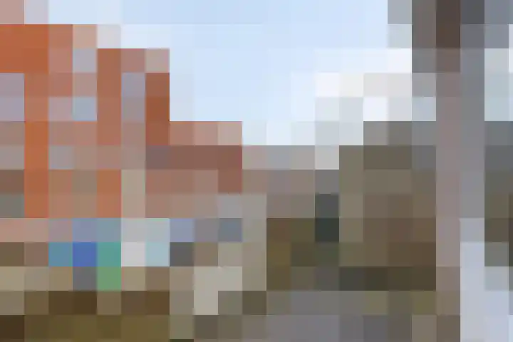 De Gouden Leeuw 67 Venray thumbnail 6