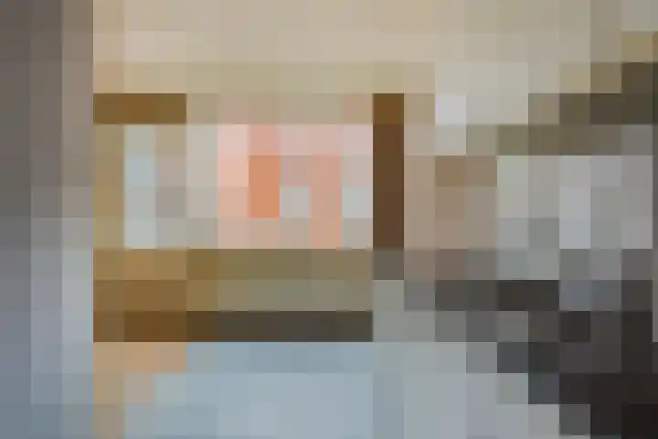 De Gouden Leeuw 67 Venray thumbnail 8