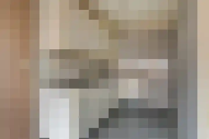 De Gouden Leeuw 67 Venray thumbnail 9