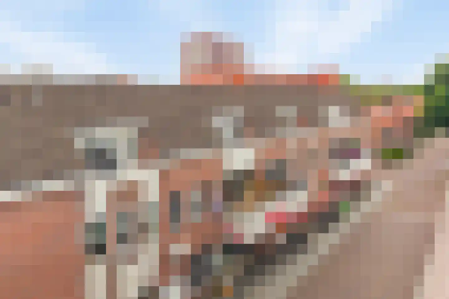 De Gouden Leeuw 7 in Venray