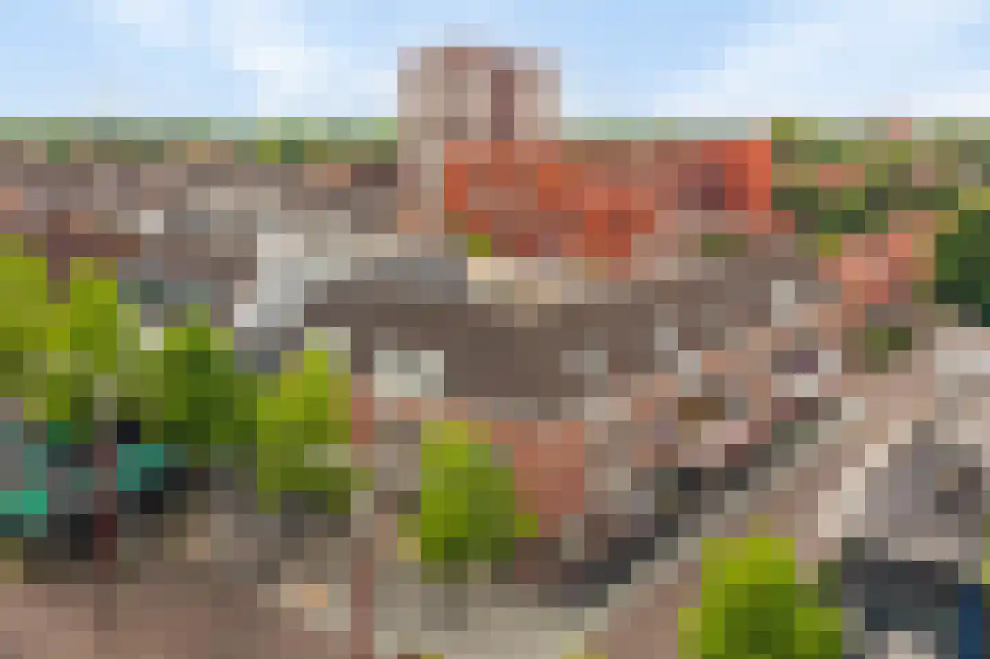 De Gouden Leeuw 7 Venray thumbnail 18