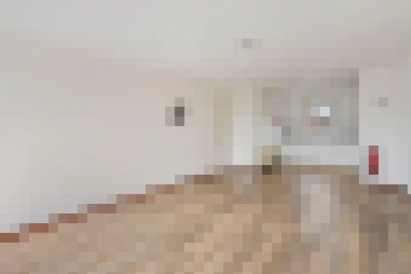 De Gouden Leeuw 7 Venray thumbnail 6