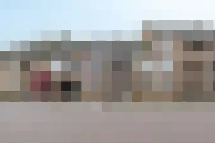 De Gouden Leeuw 70 in Venray