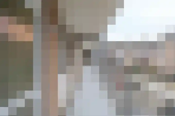 De Gouden Leeuw 70 Venray thumbnail 11