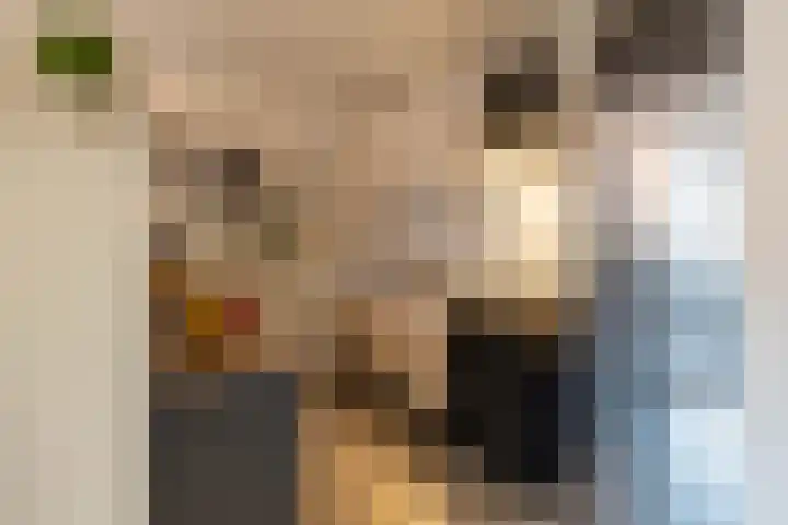 De Gouden Leeuw 70 Venray thumbnail 23