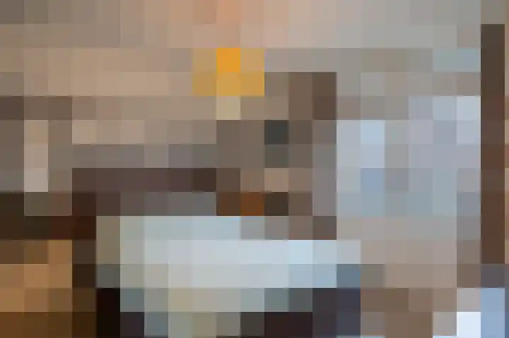 De Gouden Leeuw 70 Venray thumbnail 26