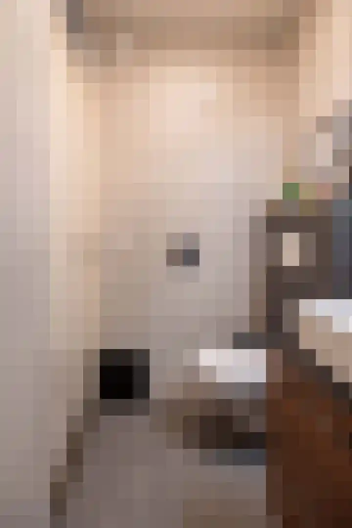 De Gouden Leeuw 70 Venray thumbnail 31
