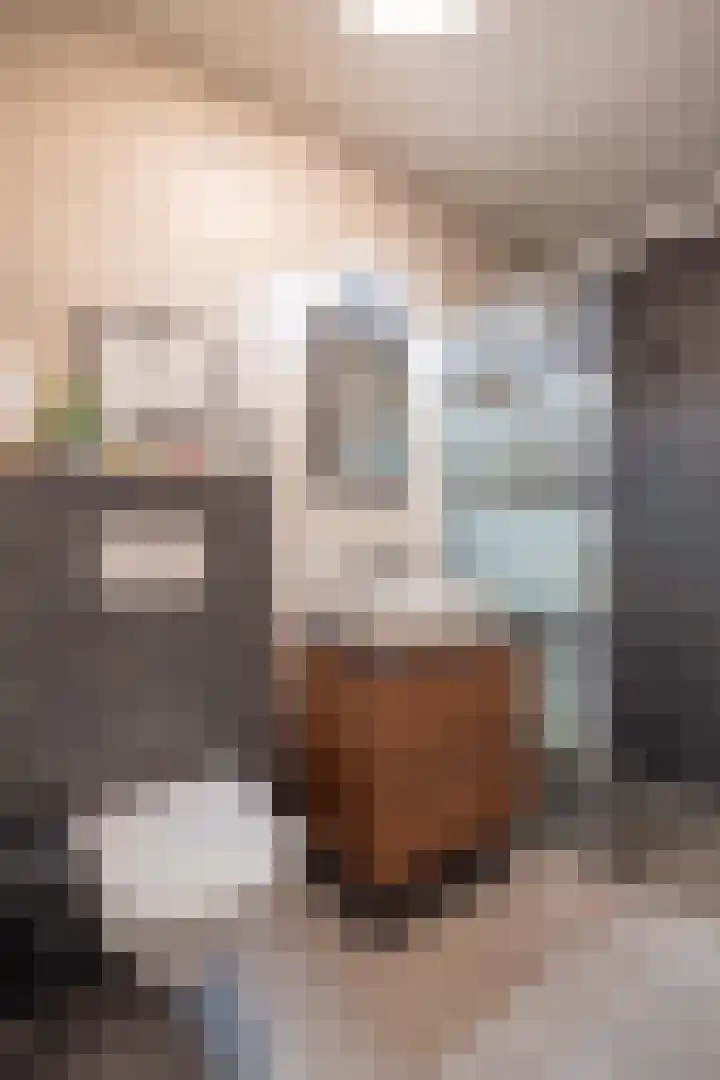 De Gouden Leeuw 70 Venray thumbnail 32