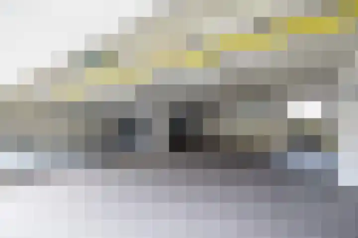 De Gouden Leeuw 70 Venray thumbnail 34