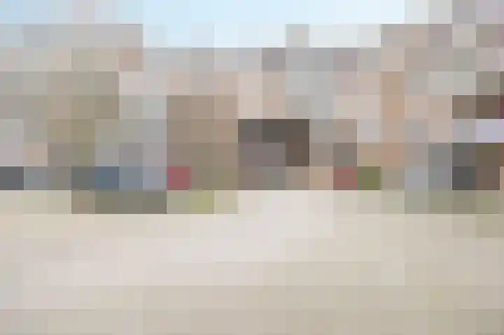 De Gouden Leeuw 70 Venray thumbnail 35